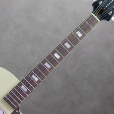 KING SNAKE Lester Black Bellied Yellow_7