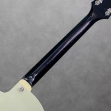 KING SNAKE Lester Black Bellied Yellow_8