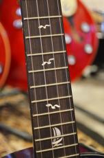 Kai Ukulele KC-100G/BL_4