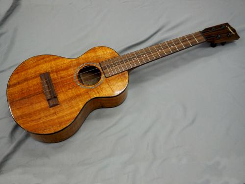 Majesty MT-1KPN