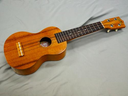 Famous FS-5GP【アキオオリジナル】