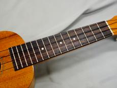 Famous FS-5GP【アキオオリジナル】_3