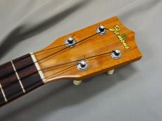 Famous FS-5GP【アキオオリジナル】_4