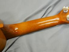 Famous FS-5GP【アキオオリジナル】_6