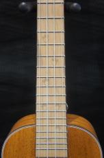 BEARLELE INU-UKU-C_3