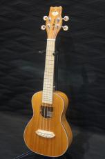 BEARLELE INU-UKU-C_4