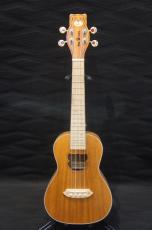 BEARLELE INU-UKU-C_5