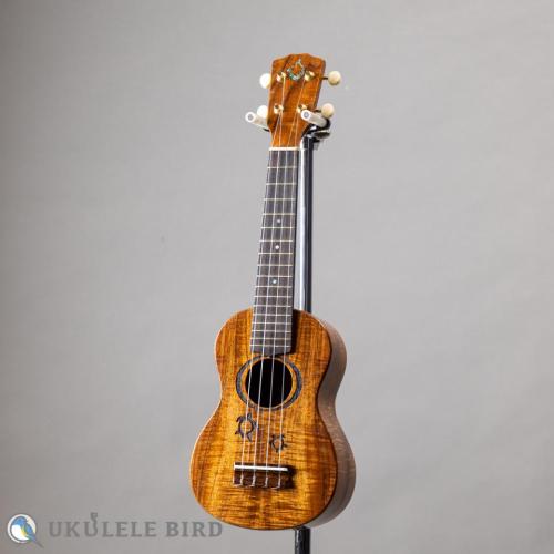 G String M1 Tattoo Honu Soprano