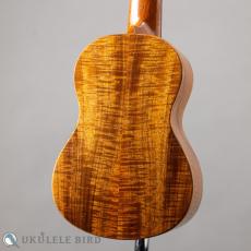 G String M1 Tattoo Honu Soprano_9