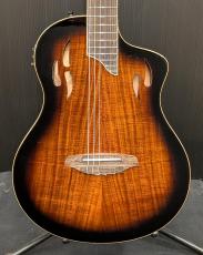 Ortega 【アウトレット特価!】Tour Player RTPDLX-ACA【ナット幅48mm】【薄胴エレガット】【充電式】