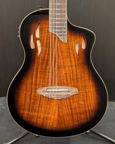 Ortega 【アウトレット特価!】Tour Player RTPDLX-ACA【ナット幅48mm】【薄胴エレガット】【充電式】