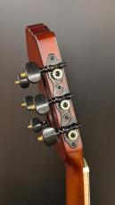 Ortega 【アウトレット特価!】Tour Player RTPDLX-ACA【ナット幅48mm】【薄胴エレガット】【充電式】_13