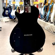 Epiphone Les Paul Express_2