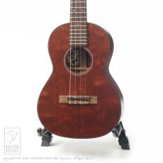 Martin 1T IZ Tenor Uke_2