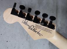 Charvel USA Custom Shop Warren DeMartini Blood and Skull _4