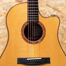 Water Road D-12 Cutaway Cuban Mahogany 2012_11