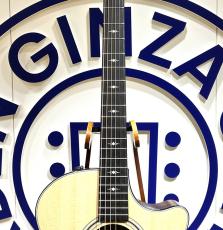 Taylor 314ce J-Spec_2