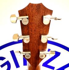 Taylor 314ce J-Spec_5
