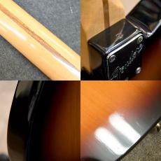 Fender Fat Telecaster_5