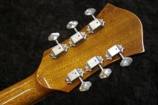 Rozeo 【USED】Ladybug-CB CM HB/SS -Vintage Amber-【軽量!3.02kg】_11