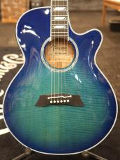 Takamine TSP178AC SBB #6207890【実物写真】【福岡ミーナ天神店】【分割手数料0%】【送料当社負担】