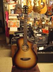 Breedlove Arista Pro CE_2