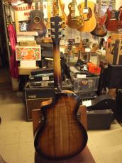 Breedlove Arista Pro CE_3