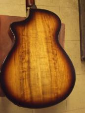 Breedlove Arista Pro CE_4