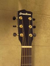 Breedlove Arista Pro CE_5
