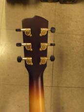 Breedlove Arista Pro CE_6