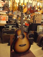 Breedlove Arista Pro CE_8