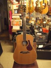 K.Yairi DYM-96AP (2008)_2