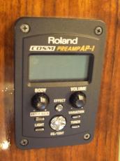 K.Yairi DYM-96AP (2008)_5