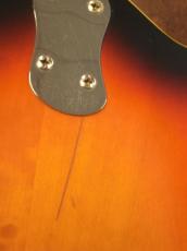 Mosrite COMBO (1966)_5