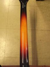 Mosrite COMBO (1966)_8