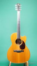 Santa Cruz Model H Cutaway w/PU_2