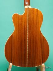 Santa Cruz Model H Cutaway w/PU_4