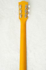 Edwards E-LS-JR-LTD -TV Yellow- #ED0531253 【数量限定生産モデル】_8