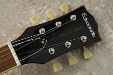 Edwards E-LP-STD LTD -All Gold- #ED0600233【限定生産モデル】【Seymour Duncan PU搭載】_5