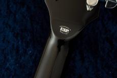 Edwards E-LP-CTM w/Maple Neck -JS- #ED1321253 【限定生産モデル】_9