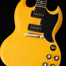 Edwards E-SG-SP-LTD -TV Yellow- #ED7381253 【数量限定生産モデル】