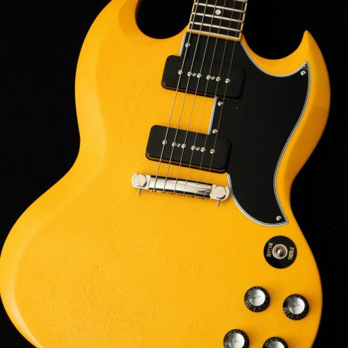 Edwards E-SG-SP-LTD -TV Yellow- #ED7381253 【数量限定生産モデル】