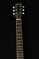 Edwards E-SG-SP-LTD -TV Yellow- #ED7381253 【数量限定生産モデル】_4