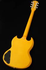Edwards E-SG-SP-LTD -TV Yellow- #ED7381253 【数量限定生産モデル】_6
