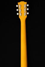 Edwards E-SG-SP-LTD -TV Yellow- #ED7381253 【数量限定生産モデル】_8