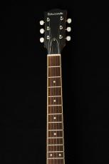 Edwards E-SG-SP-LTD -TV Yellow- #ED3381253 【数量限定生産モデル】_4