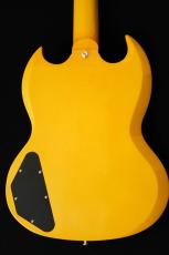 Edwards E-SG-SP-LTD -TV Yellow- #ED3381253 【数量限定生産モデル】_7