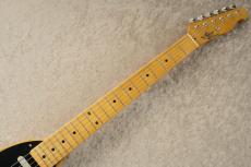 RS Guitarworks TeeVee Standard "Ash Body" Between Medium and Heavy -Butterscotch Blonde- #RS425-2_4