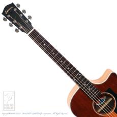 Eastman PCH2-GACE-CLA_6