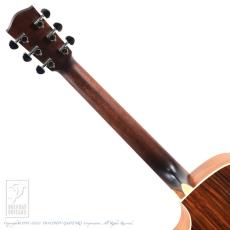 Eastman PCH2-GACE-CLA_7